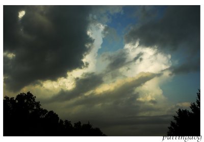 #DSC_8675.jpg