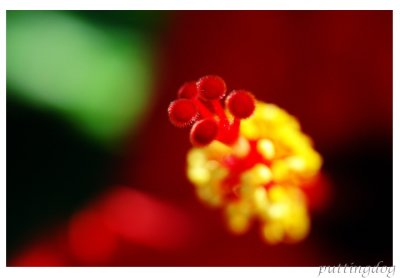 ~DSC_1569.jpg