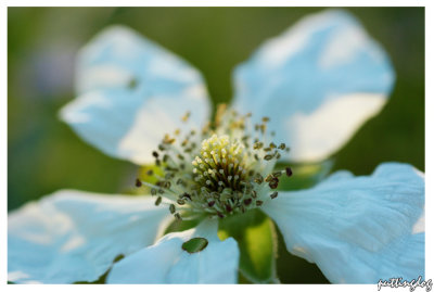 ~DSC_4548.jpg