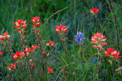 ~DSC_4876.jpg