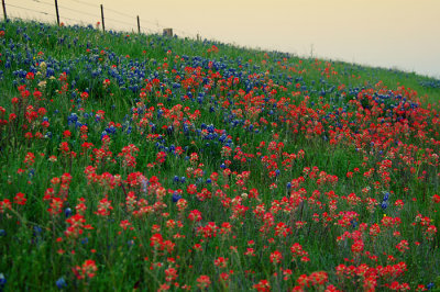 ~DSC_4883.jpg