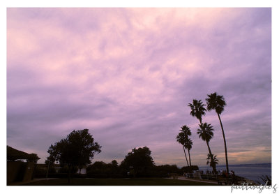 ~IMG006_p1.jpg