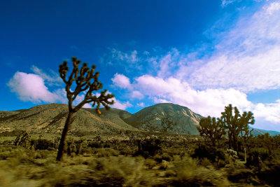 IMG022_p1.jpg