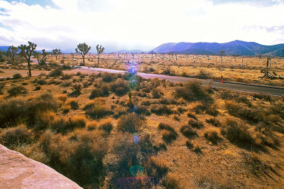 IMG017_p1.jpg