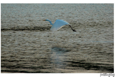 ~DSC_5090.jpg