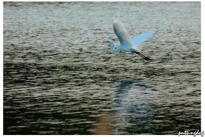 ~DSC_5092.jpg