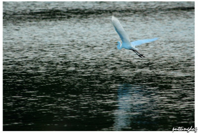 ~DSC_5093.jpg
