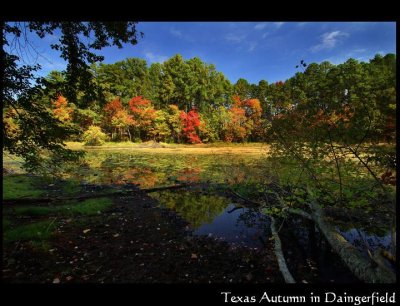 Texas Autumn in Daingerfield