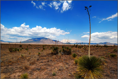 Country Road in New Mexico