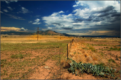 Country Road in New Mexico (2)