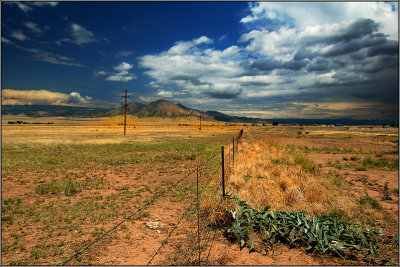 Country Road in New Mexico (2)