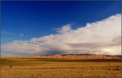 DSC_4399.jpg