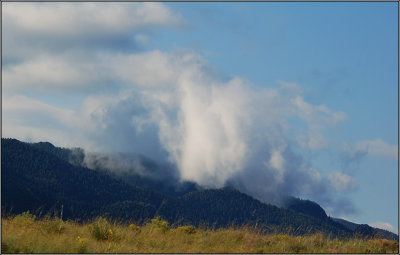 DSC_4462ss.jpg