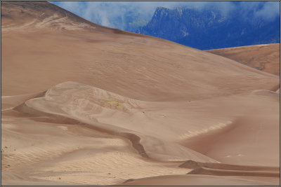 DSC_4501.jpg