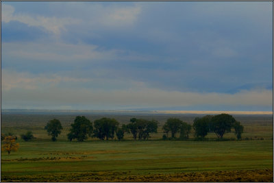 DSC_4359.jpg