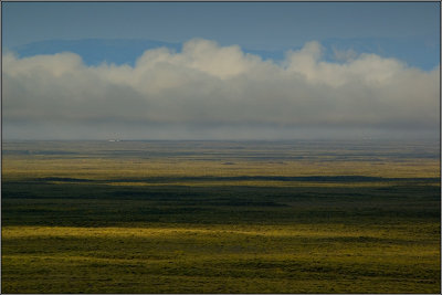 DSC_4385.jpg