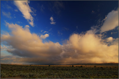 DSC_4214s.jpg