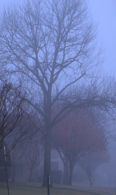 DSC_4184s.jpg