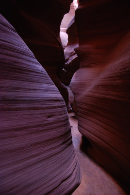 DSC_5885.jpg