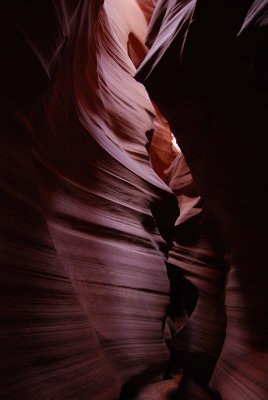 DSC_5905.jpg