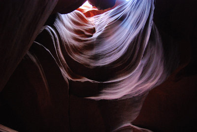 DSC_6001.jpg