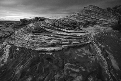 DSC_5671bw.jpg