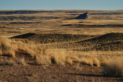 DSC_4900s.jpg