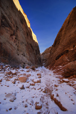 DSC_7714.jpg