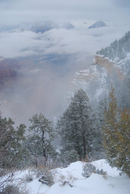 DSC_5284s.jpg