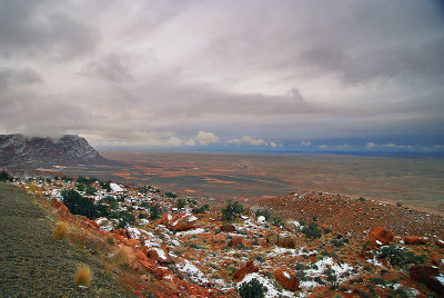 DSC_5595.jpg