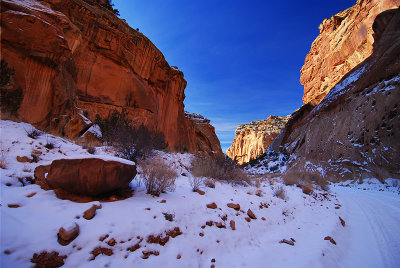 DSC_7563s.jpg
