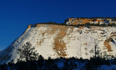 DSCF0243s.jpg