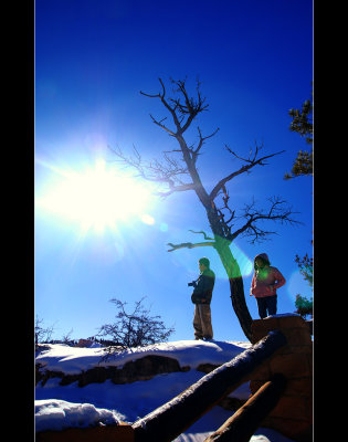 DSC_6697ss.jpg
