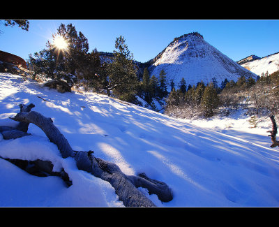 DSC_6579ss.jpg