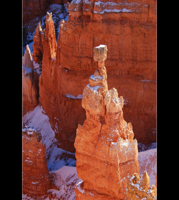 DSC_6636ss.jpg