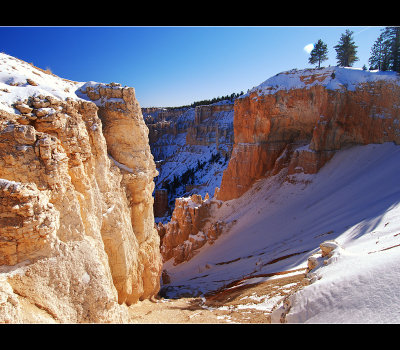 DSC_6751ss.jpg