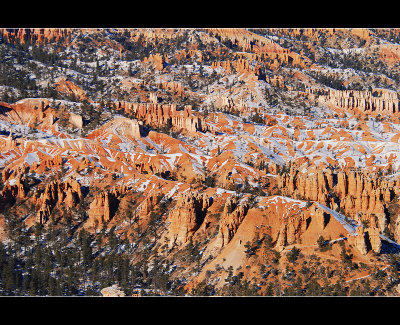 DSC_6925ss.jpg