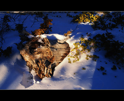 DSC_7091ss.jpg