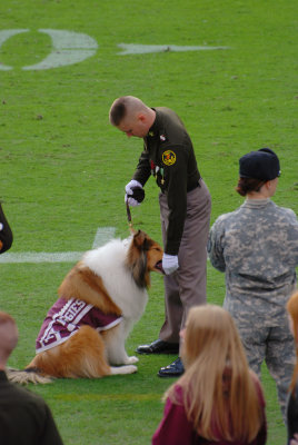 Reveille