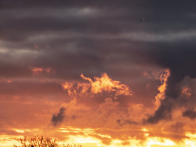 ex!!! complex sunset clouds with jet DSCN1618.jpg
