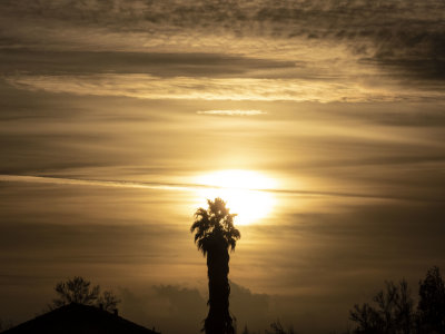 ex!!!! saturn sunset sun clouds palm tree DSCN0590.jpg