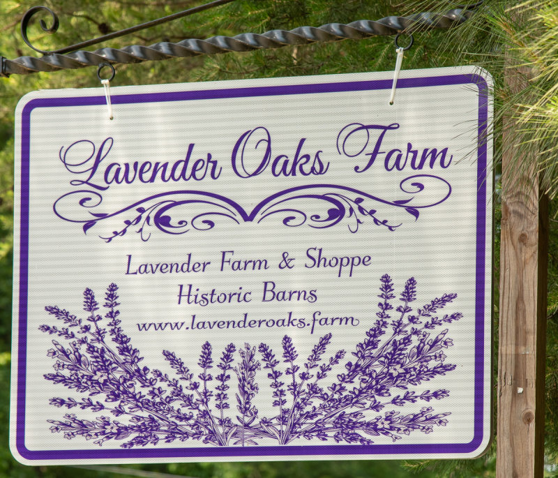 lavender_oaks_farm