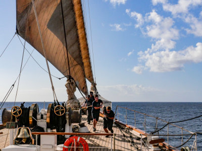 Sail handling