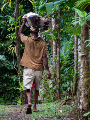 Cabrits National Park, Dominica destroyed in 2017 by Hurricane Maria. 70% recovered