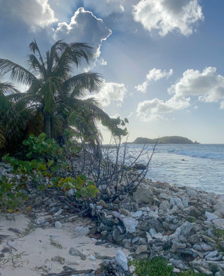 Sandy Island on Carriacou - base for snorkeling