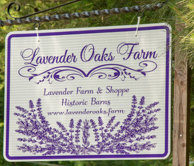 Lavender Oaks Farm-34.jpg