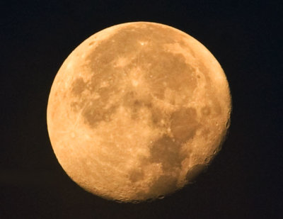 DSC_1975.jpgMoon_July19.jpg
