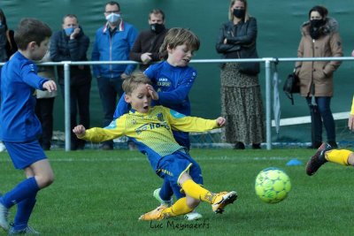 KVC Westerlo Pro. U8 - U9