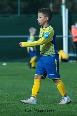 KVC Westerlo Pro. U8 - U9