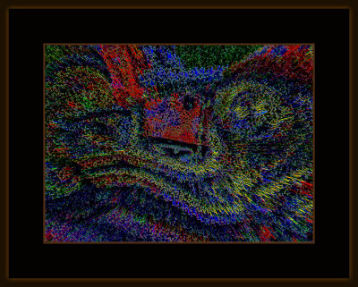 946_=_529A6119.jpg